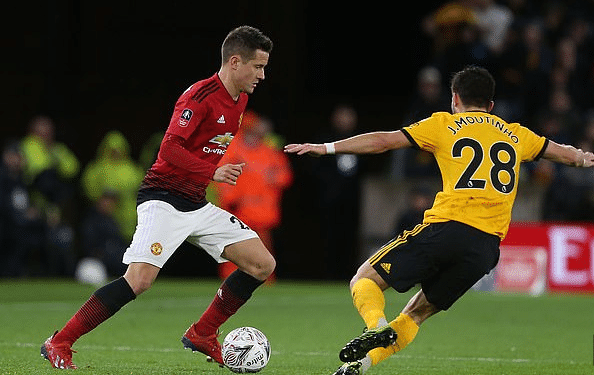 洋领域的科 洋领域的科