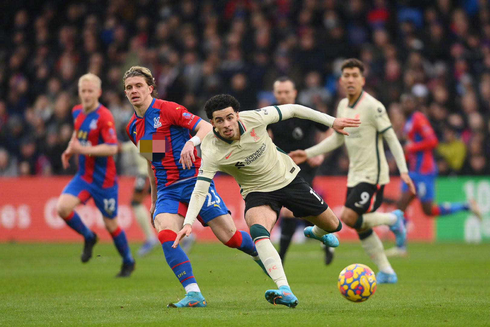 失血以及荷 失血以及荷